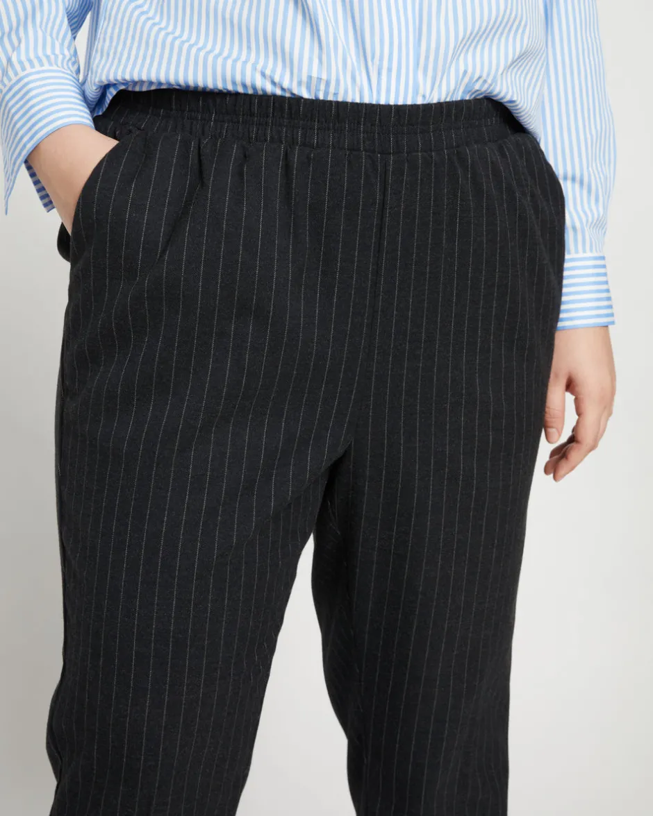 Universal Standard The Pinstripe Pant