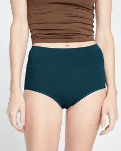Universal Standard UltimateS Full Coverage High Rise Brief