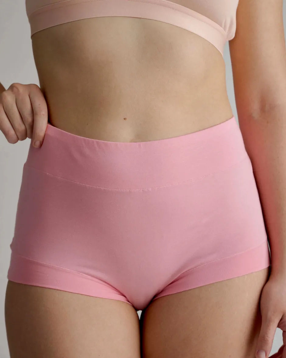 Universal Standard UltimateS Super Full Coverage High Rise Brief